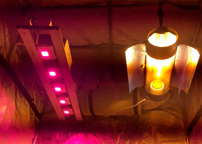 Освещение для конопли Освещение для конопли