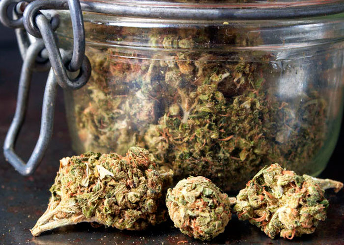 Пролечка конопли Пролечка конопли