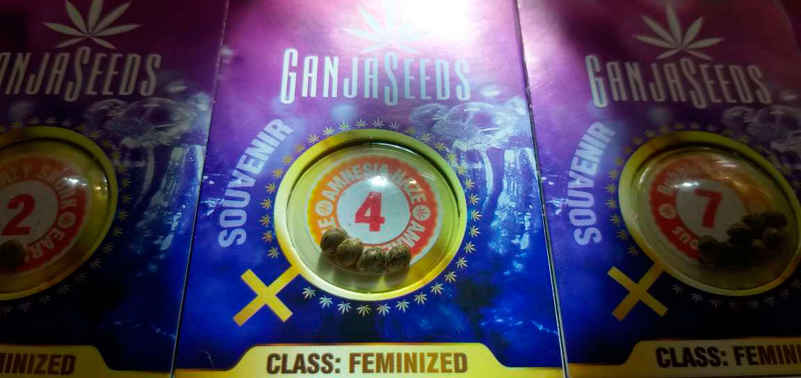 Семена конопли Ganja Seeds Семена конопли Ganja Seeds