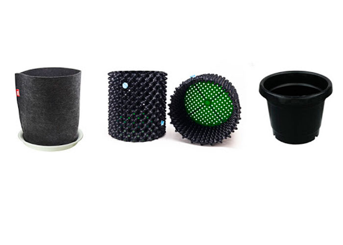 Выбор емкости для рассады Выбор емкости для рассады