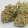 Недорогие семена конопли Grapefruit Haze feminised