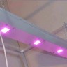 Линейный светодиодный фитосветильник LED Союз 4 заказать
