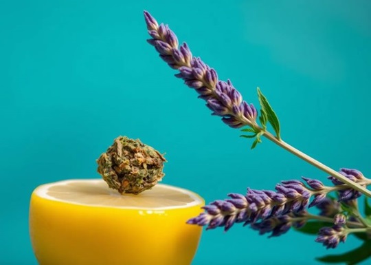 Что такое линалоол и чем он примечателен