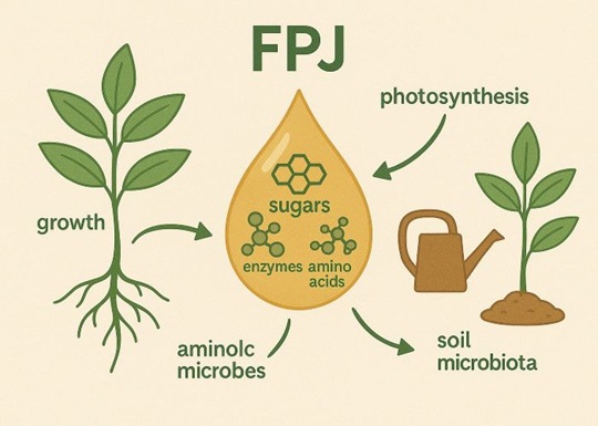 FPJ: секретный ингредиент для роста каннабиса