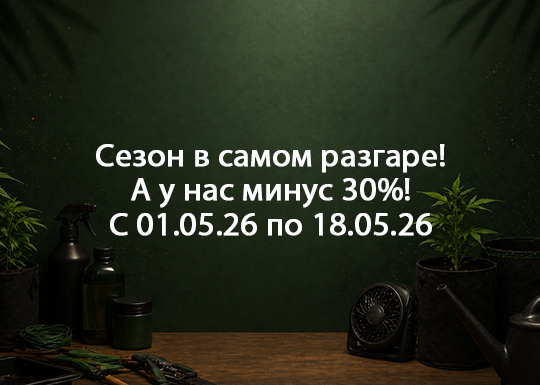 Сезон в самом разгаре! А у нас минус 30%!