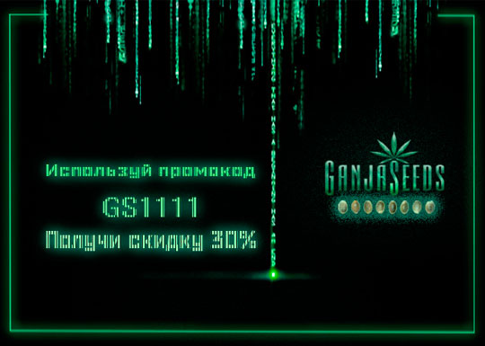 GanjaLiveSeeds проведет день скидок для своих покупателей