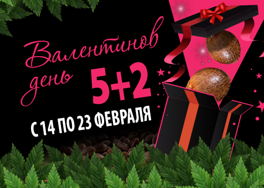 Подарочная акция ко Дню святого Валентина!