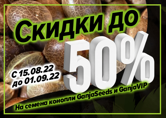 Закрытие летнего сезона! Скидки до 50% на семена конопли!