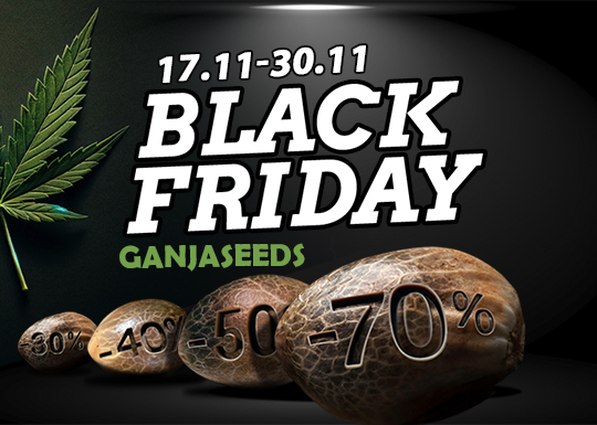 ЧЕРНАЯ ПЯТНИЦА 2025 — скидки до 70%!