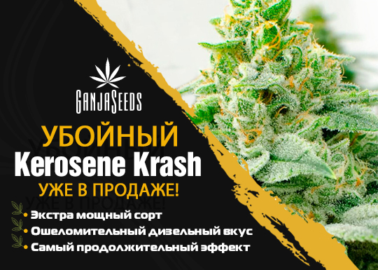 Раздаем семена Kerosene Krash feminised под репорт!