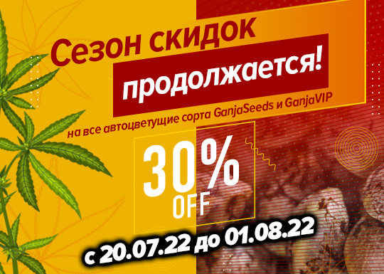 Скидка 30% на автоцветущие сорта конопли до конца июля!