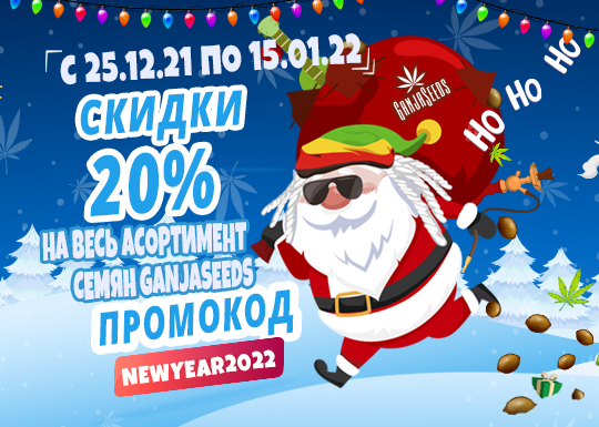 Подарки под елочку от популярного сидбанка!
